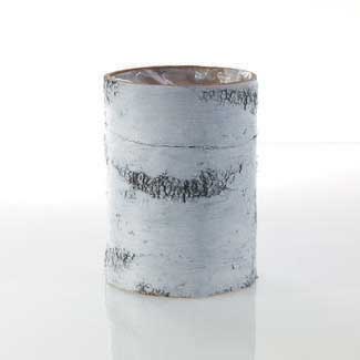 BIRCH CYLINDER WHITE 7"X 10"