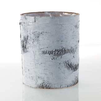 BIRCH CYLINDER WHITE 10"X 12"