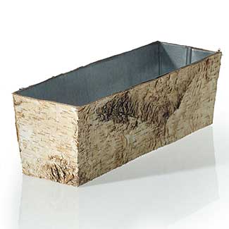 BIRCH PLANT.W/ZINC12"X4
