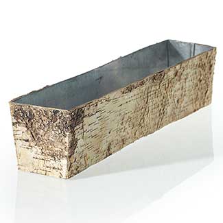 BIRCH PLANT.W/ZINC18"X4