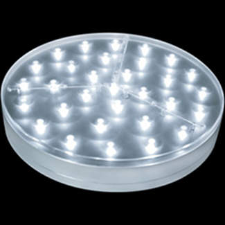 8" LIGHT BASE WITH 31 LED