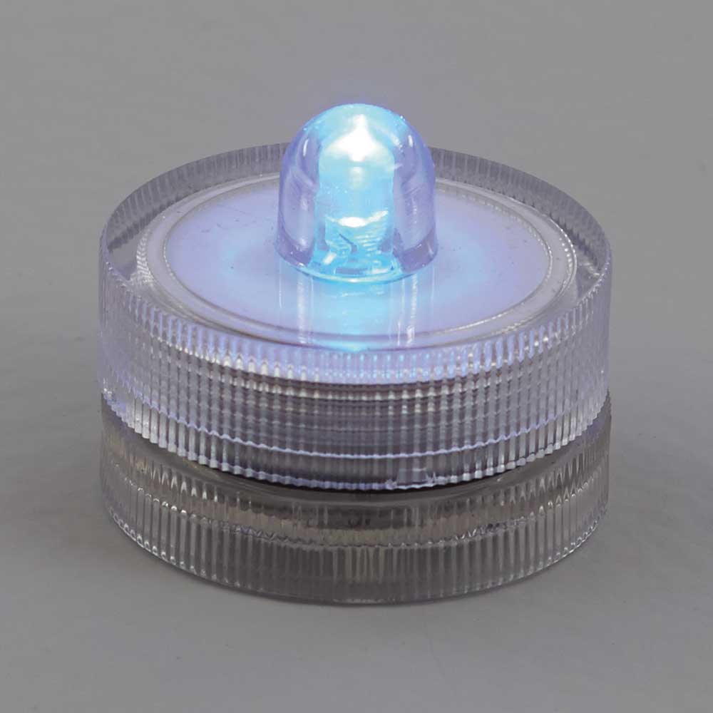 SUBMERSIBLE LIGHT,R L