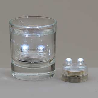 2 LED SUBMERSIBLE