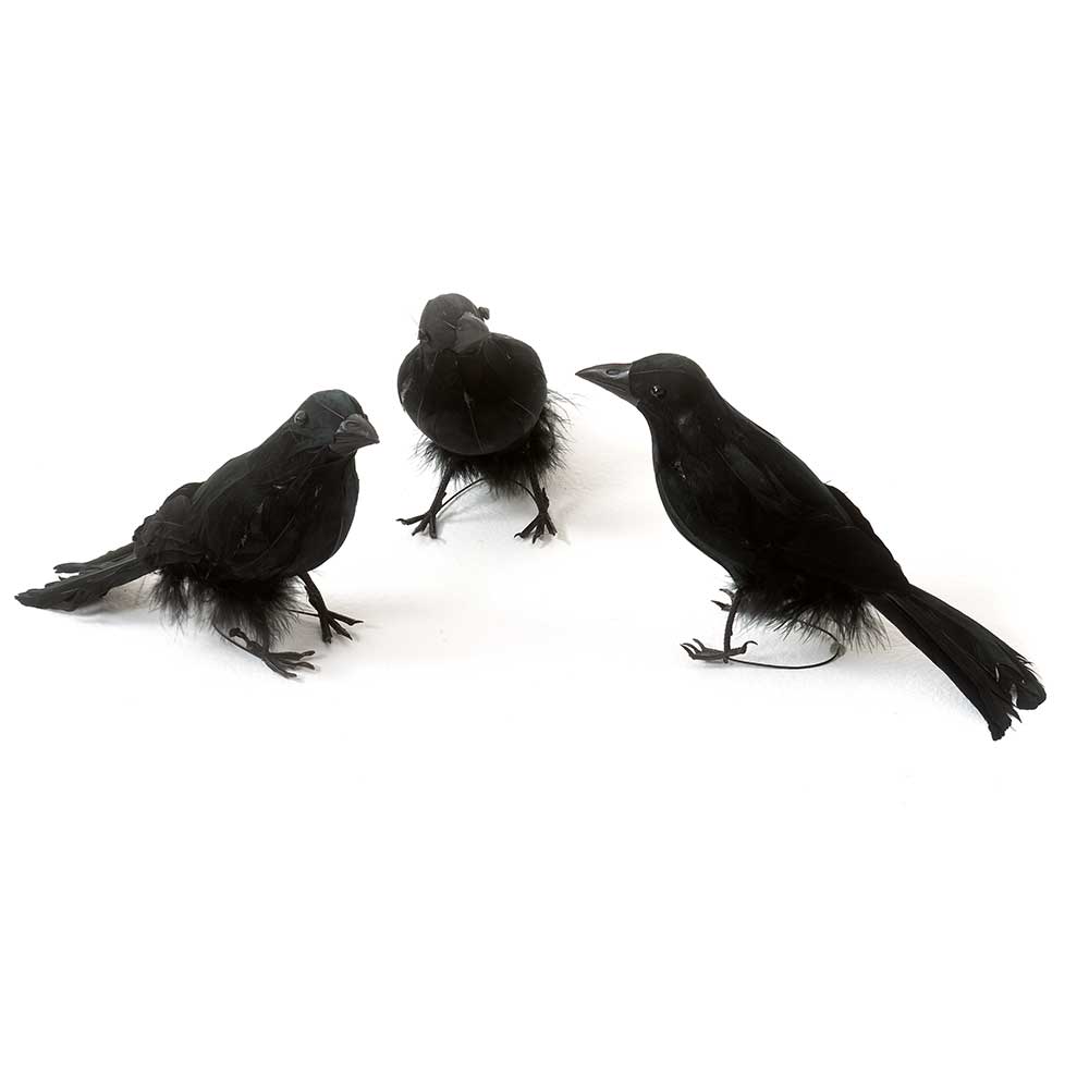 5.25" X 8.5" BLACK CROW SET