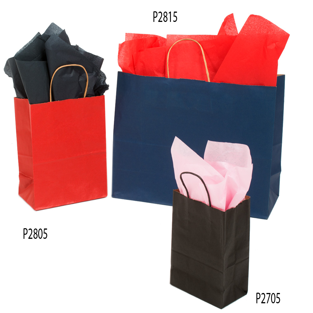 10" X 8" COLOR KRAFT BAG