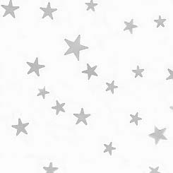24" PRINTED,SILVER STARS