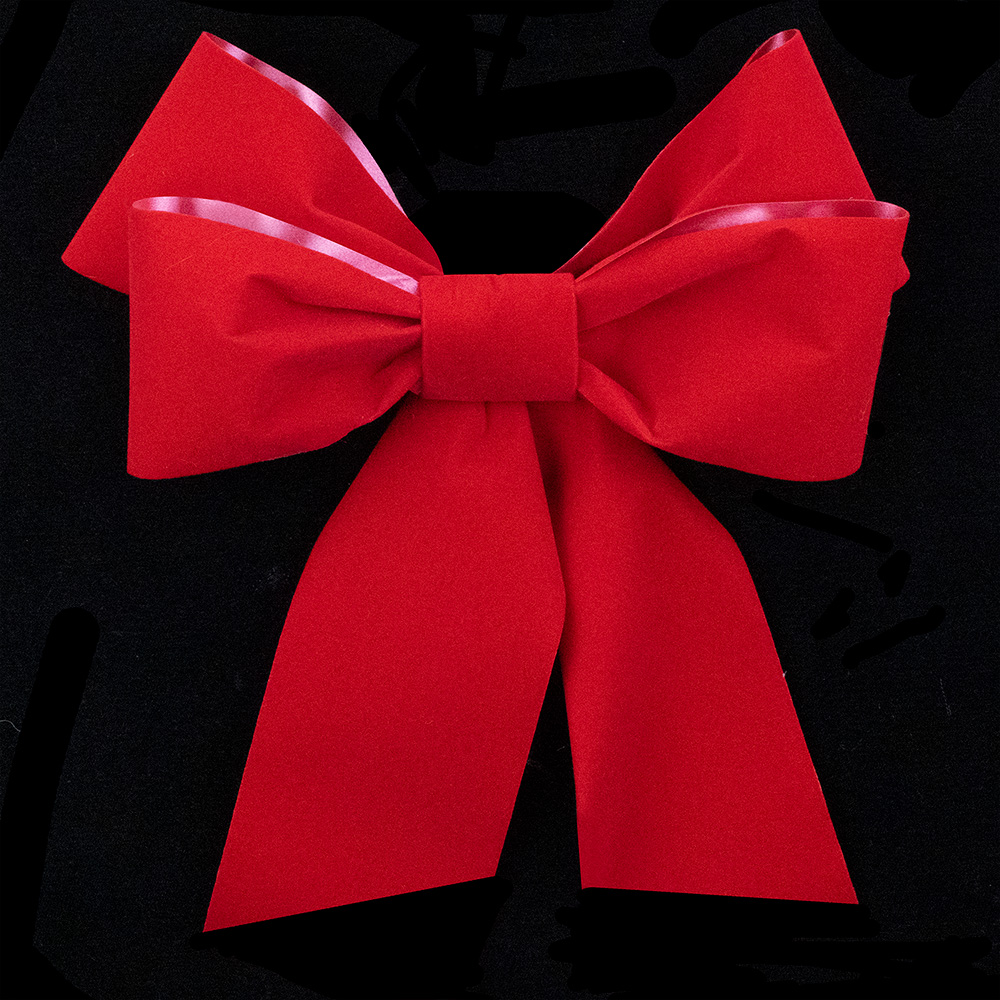 2 1/2" VELVET RIBBON