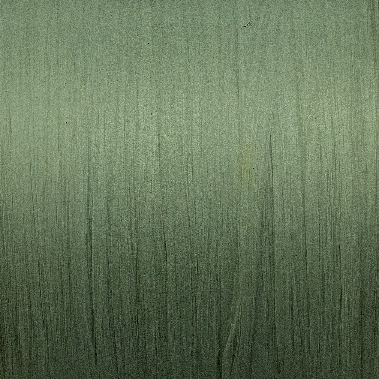 RAYON RAFFIA,OLIVE