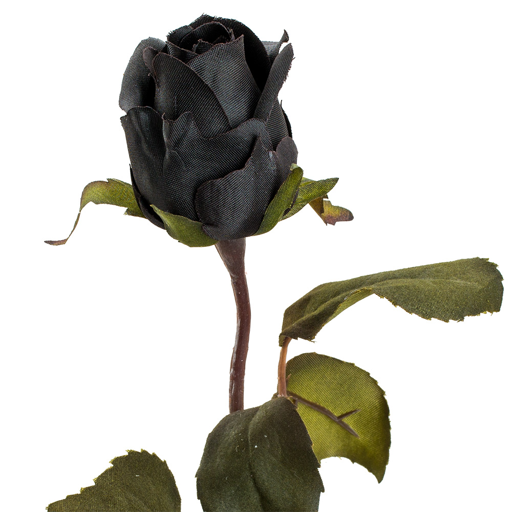 21" BLACK MAGIC ROSE BUD