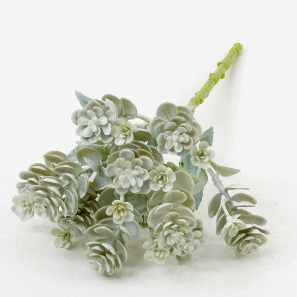 FSS recommended item