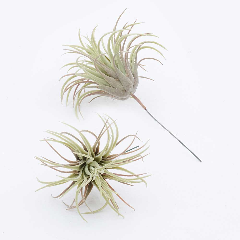 FSS recommended item