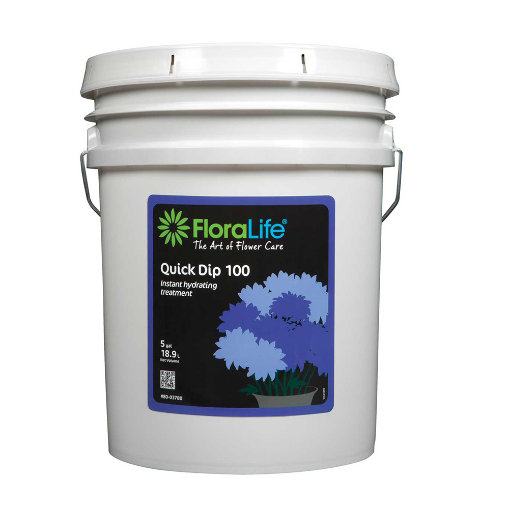 FLORALIFE QUICK DIP 100 INSTA