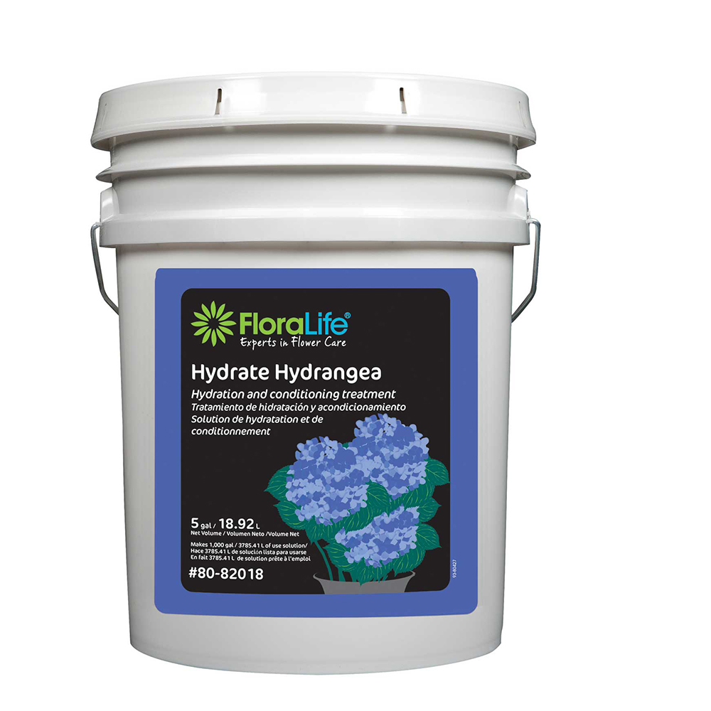 FLORALIFE HYDRATE HYDRANGEA H