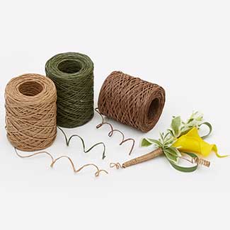 FSS recommended item