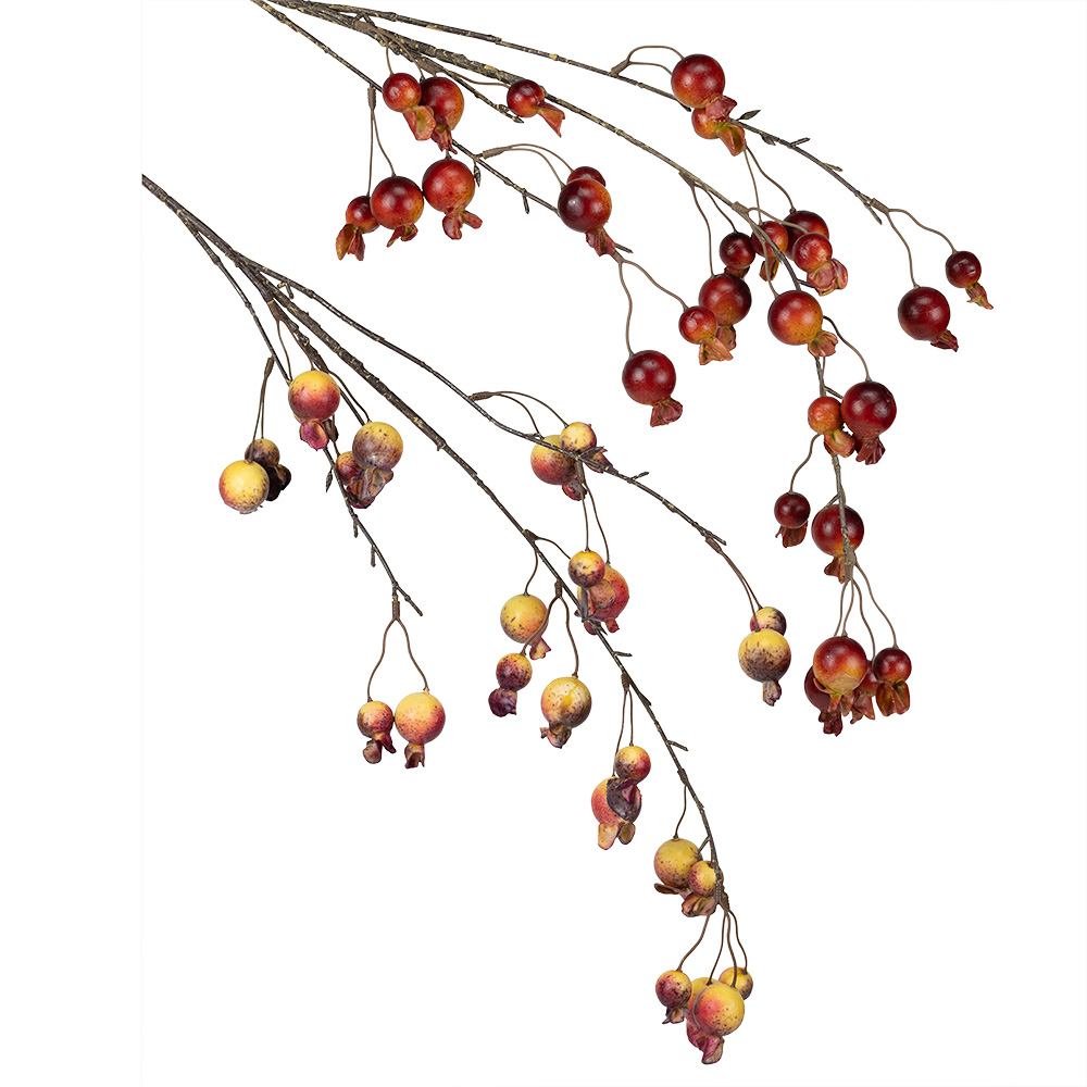 36" POMEGRANATE SPRAY