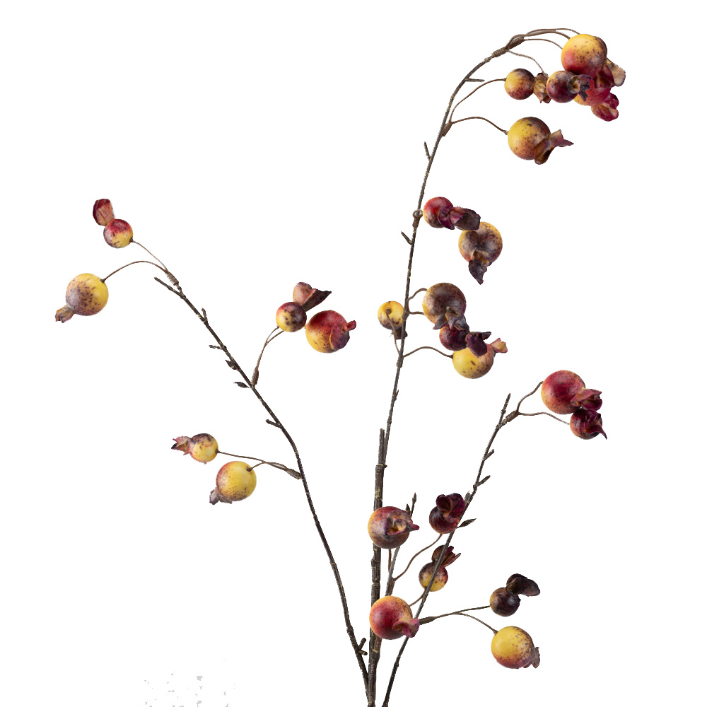 36" POMEGRANATE SP,MIXED