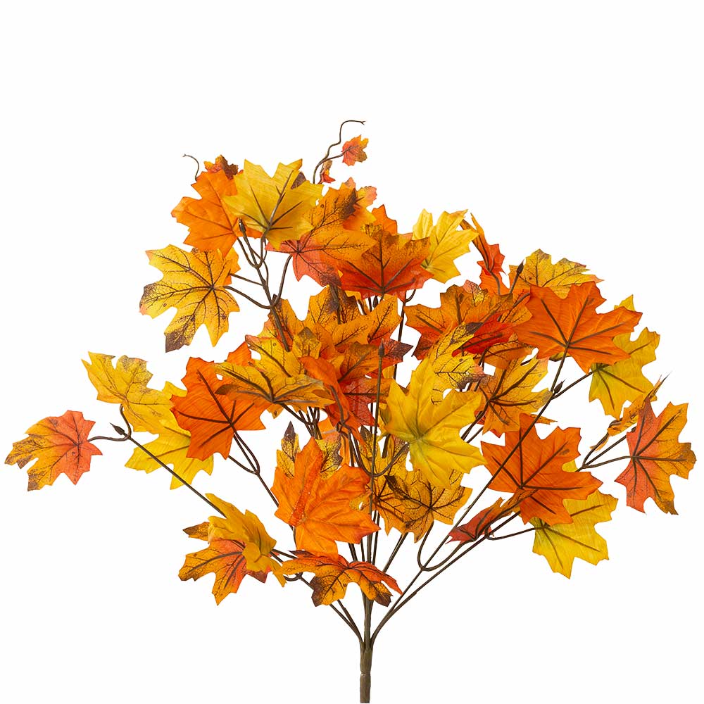 MAPLE LEAF BUSH X12