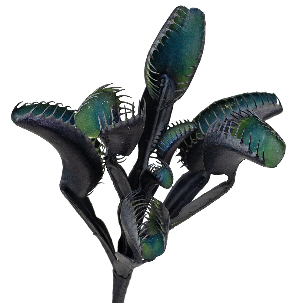 11" BLACK VENUS FLY TRAP PICK