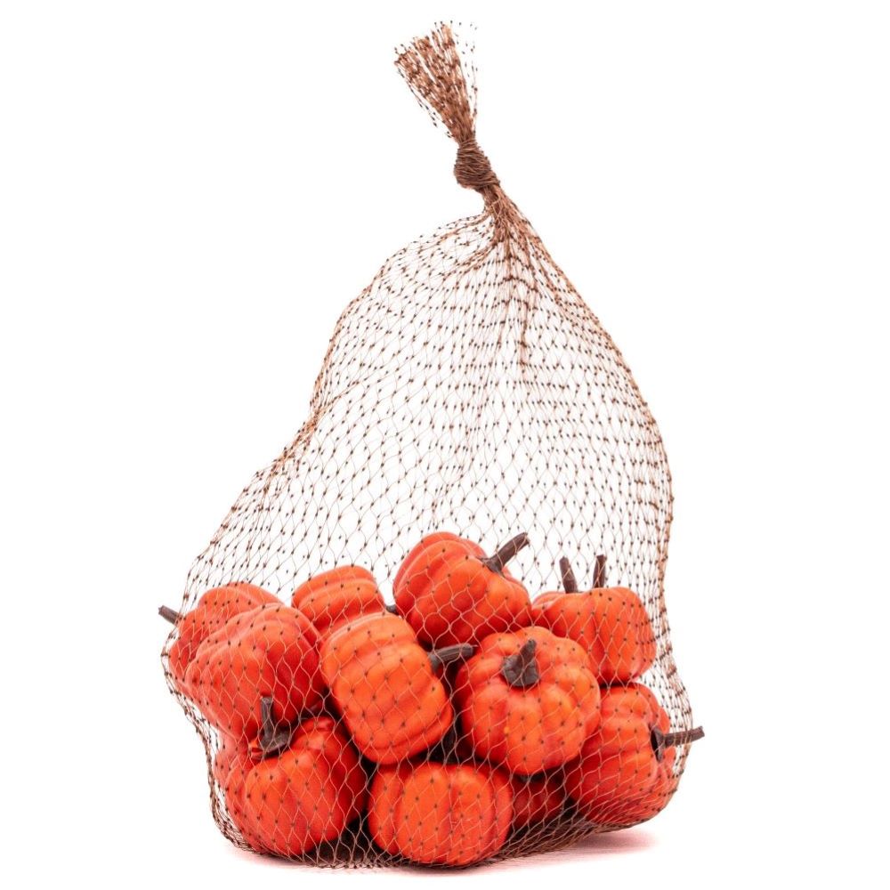SM PUMPKINS IN A BAG