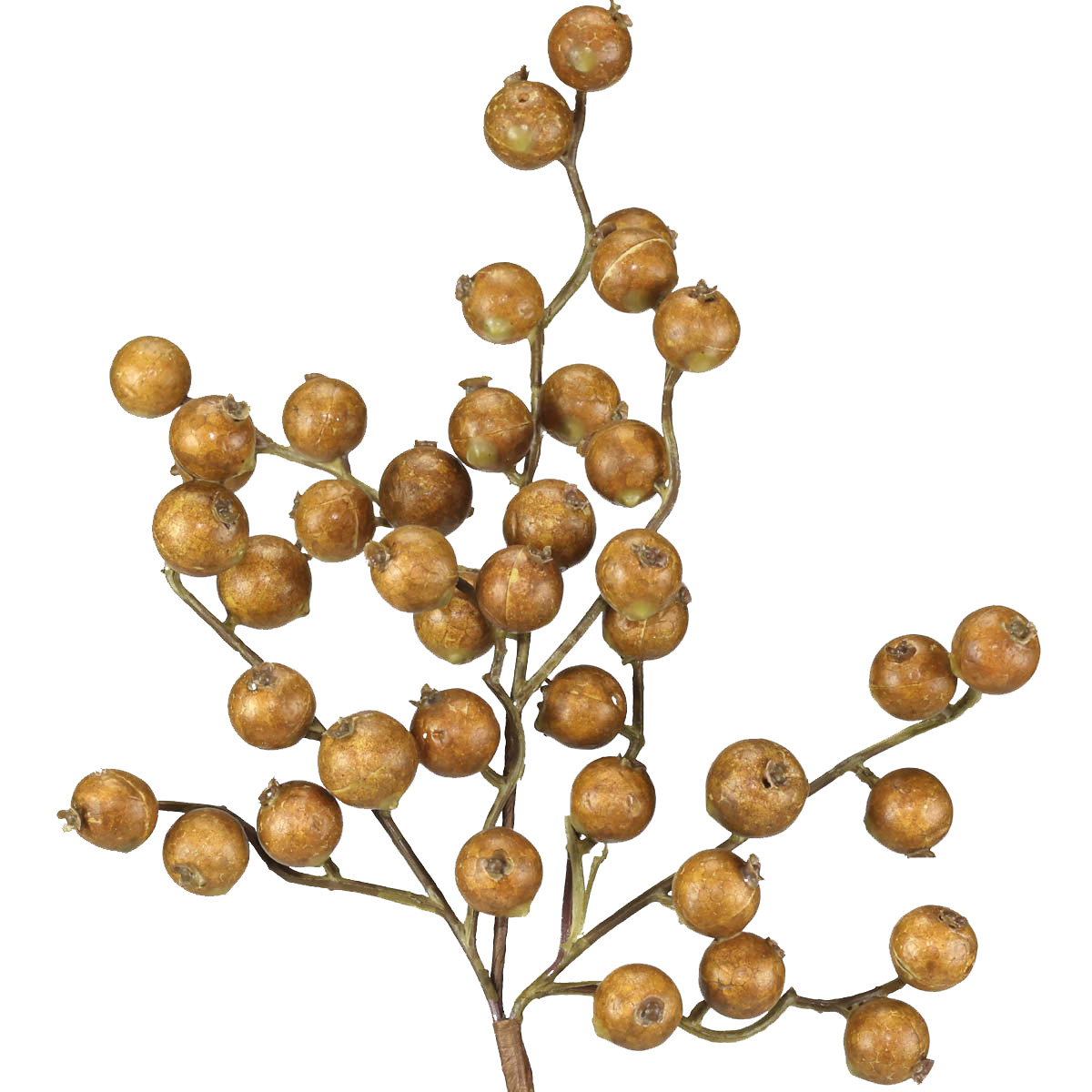 12" FALL CRABAPPLE,BUTTER