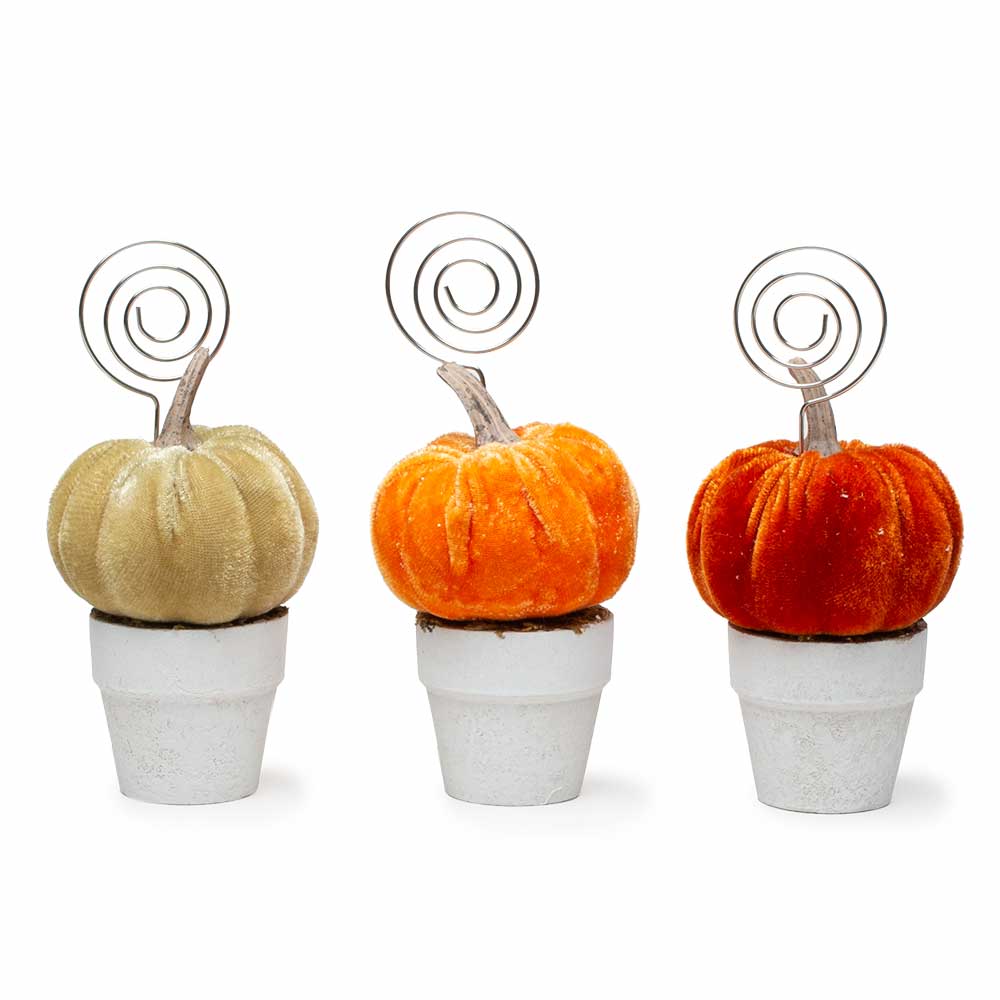 5" PUMPKIN NAMECARD HOLD