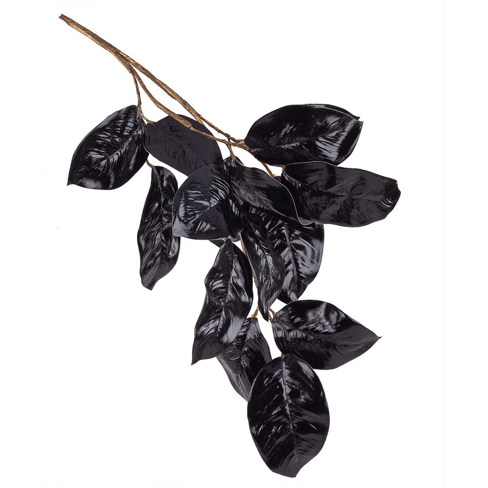 25" BLACK MAGNOLIA SPRAY