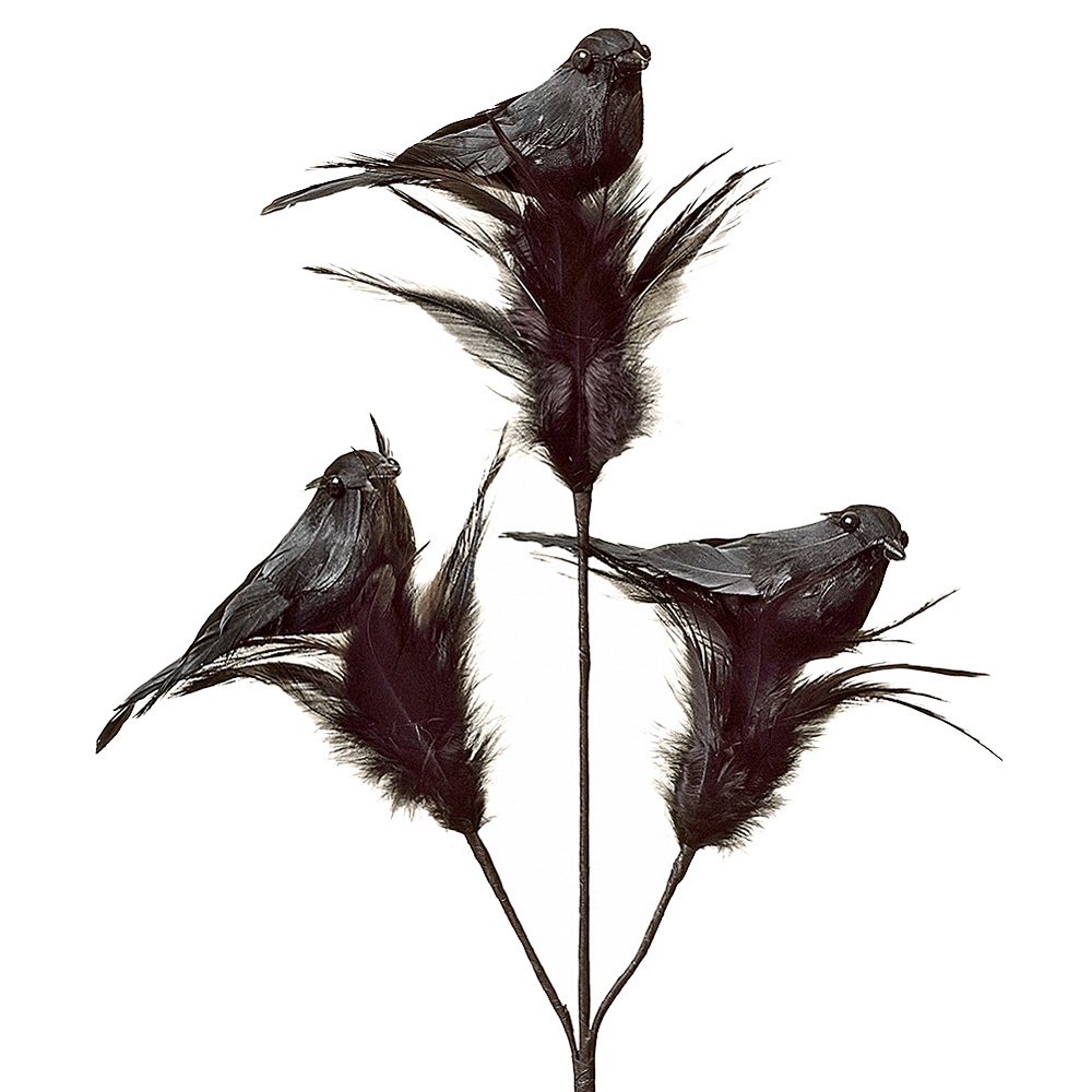 18" CROW FEATHER SPRAY X 3