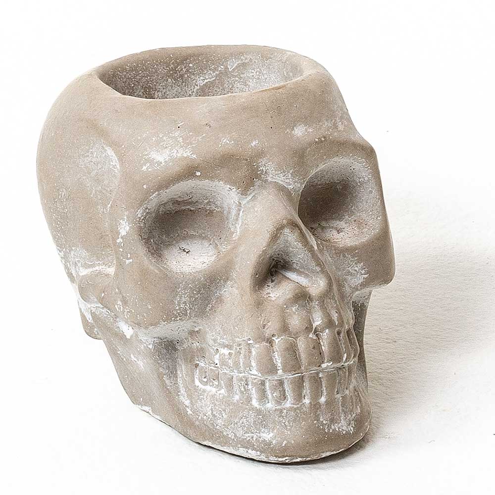 3.5X2" CEMENT SKULL POT