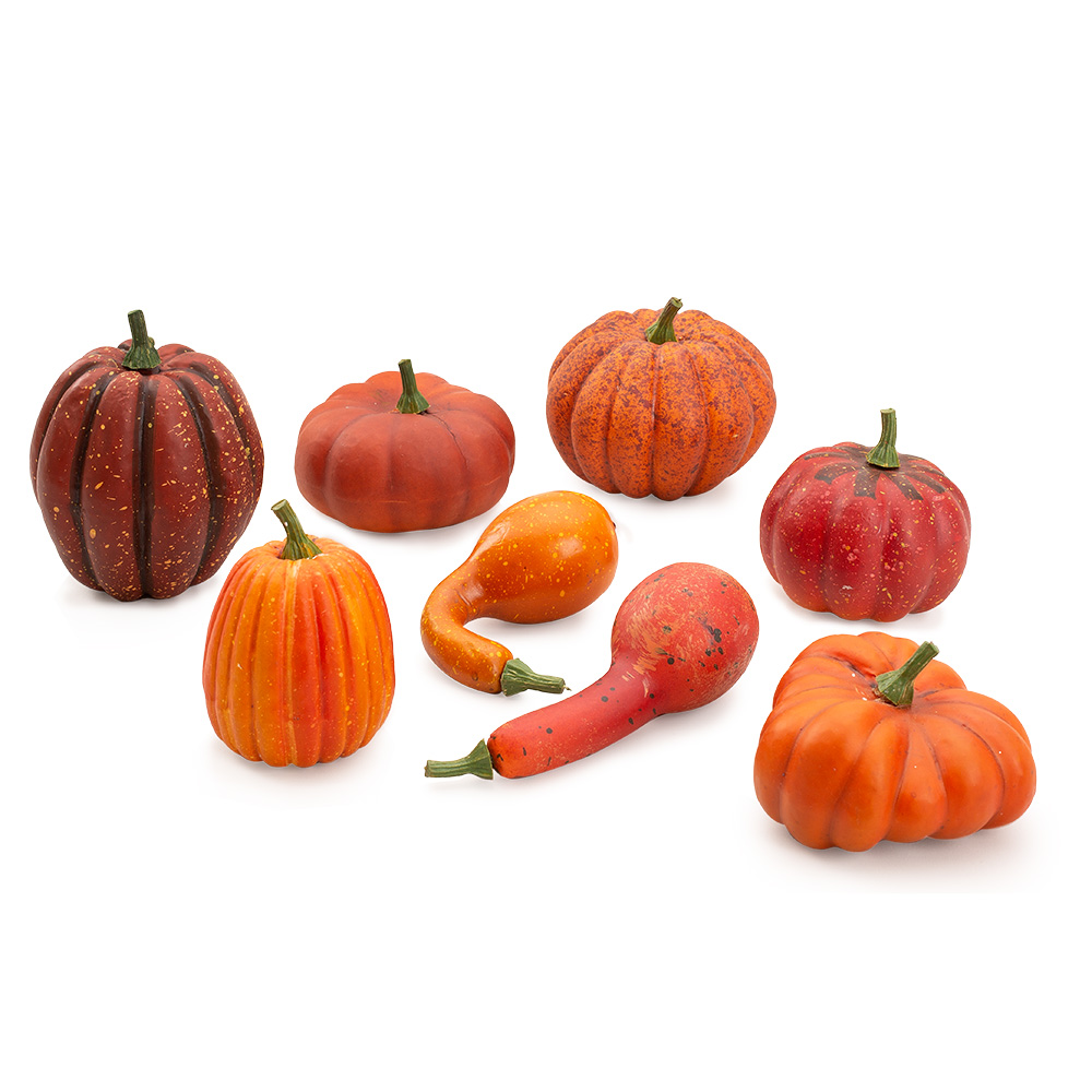 BAGGED PUMPKIN/GOURD ASST