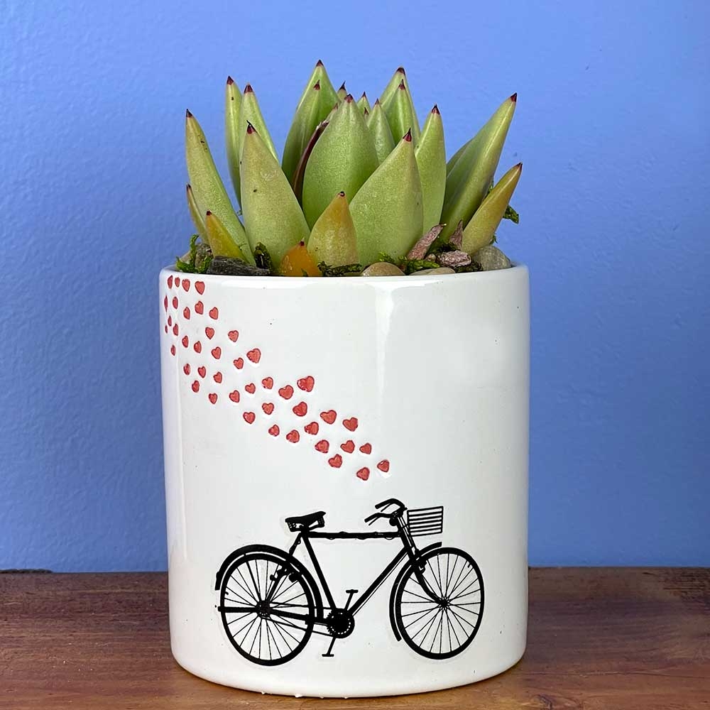 Contributed by Floral Supply Syndicate